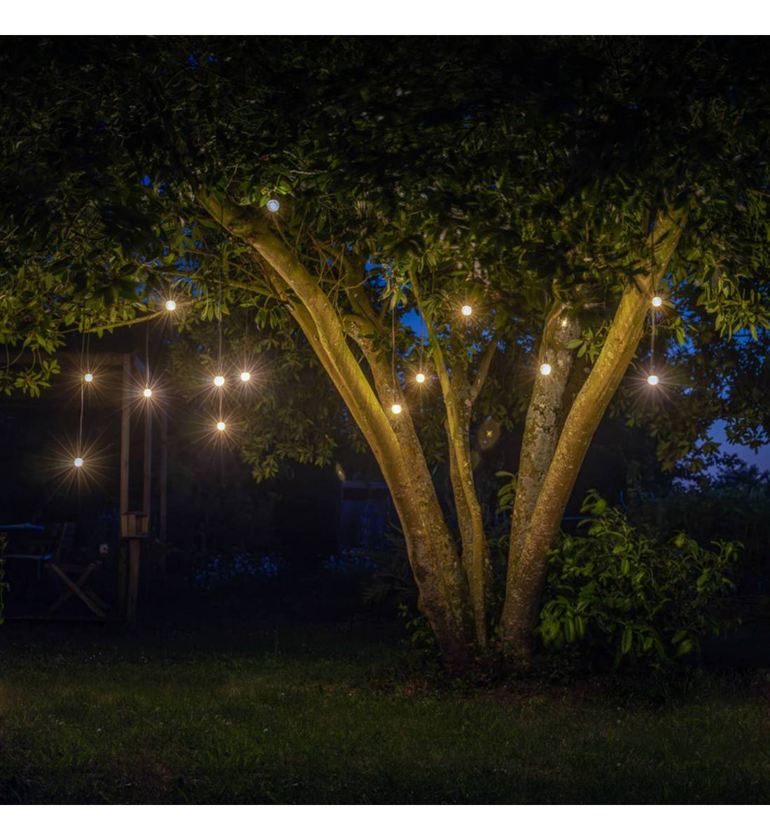 Transparent Luciole Guinguette string light - 15m - Guinguette string lights - La Case de Cousin Paul